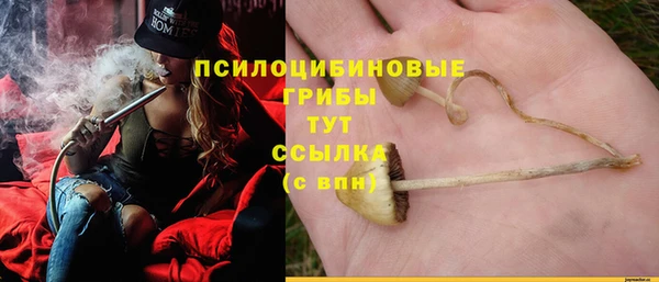 альфа пвп Касимов