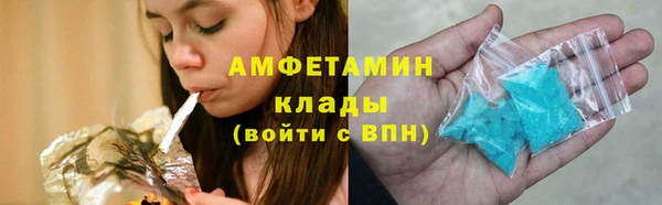 прущие грибы Карталы