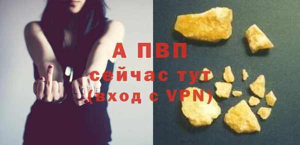 прущие грибы Карталы