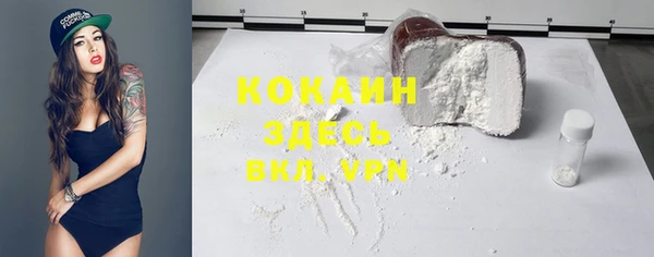 прущие грибы Карталы