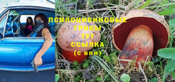 прущая мука Каменск-Шахтинский