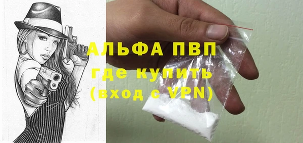 прущие грибы Карталы