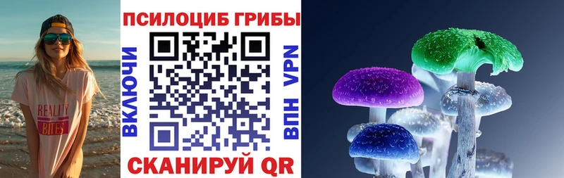 Купить закладки  Нарткала  Псилоцибиновые грибы GOLDEN TEACHER 